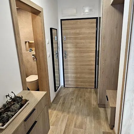 Luxury 2 Flat Free Parking, Pool And Wifi Apartament