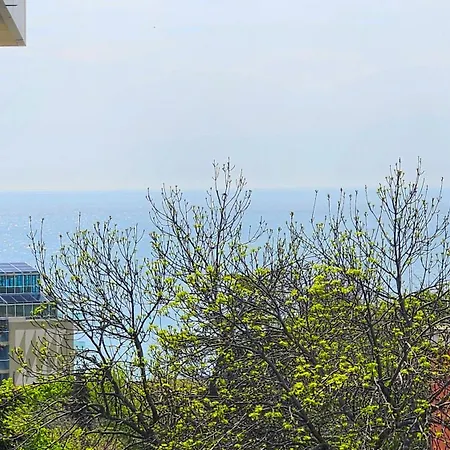 Luxury 2 Room Flat Free Parking, Pool And Wifi Apartment *